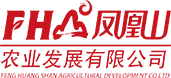 錦繡裝飾